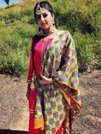 Phulkari Punjabi Suits